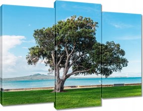 Vászonkép 90x70 Magányos fa