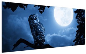 Egy éjszakai bagoly képe (120x50 cm)
