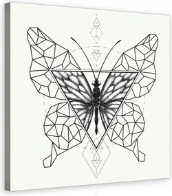 Vászonkép 80x80 Pillangó geometrikus absztrakt minimalizmus grafika művészet