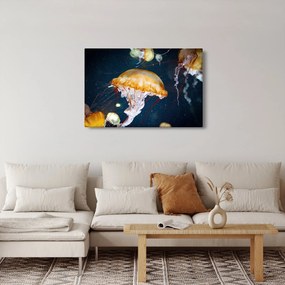 Medúza képe (90x60 cm)