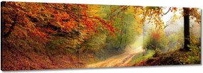 Vászonkép 150x50 Út az erdőben ősz