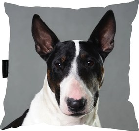 Bulterier Kutyapárna alváshoz 40x40 ajándék