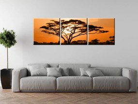 Gario Vászonkép Gyönyöru afrikai táj - 3 részes Méret: 90 x 30 cm