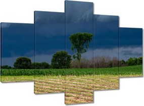 Festmények 150x105 Kukoricamező Fák