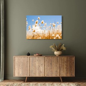 Kép - Arany mező (90x60 cm)