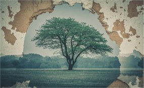 Flizelin tapéta Divatos 3D fali ragasztóval Magányos fa 416x254 Ragasztó