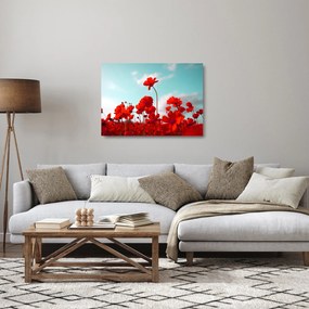 Fényes piros virágokkal rendelkező mező képe (üvegen) (70x50 cm)
