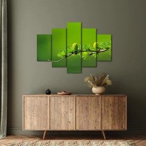 Zöld fenyőtoboz képe (150x105 cm)