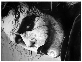 Joker vászon fali kép, 40 x 30 cm