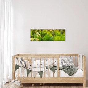 Kép - Mező (órával) (90x30 cm)