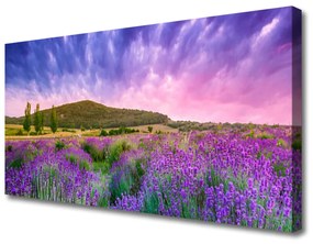 Vászonkép falra Mezei virágok hegyeken 100x50 cm