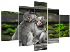 Kép - majmok (150x105 cm)