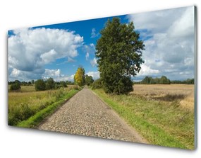 Üvegkép A falu útburkolat Landscape 100x50 cm
