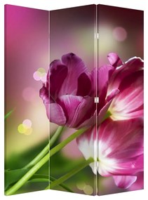 Paraván - Rózsaszín tulipánok (126x170 cm)