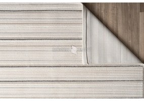 Pastuler 269 modern mintájú szőnyeg (Brown) 200x290 cm