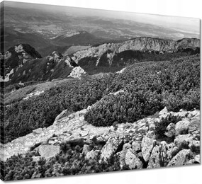 Vászonkép 50x40 Tátra Lengyel hegyek Kilátás