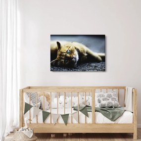 Macska képe (90x60 cm)
