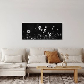 Kép - Gyapotfűvel borított rét N⁰1 (120x50 cm)
