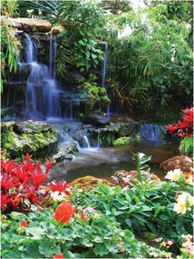 Fotótapéta vízesés erdő sziklák fotótapéta 206 x 275