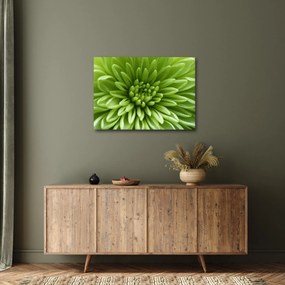Kép - Makro kép egy növényről (70x50 cm)