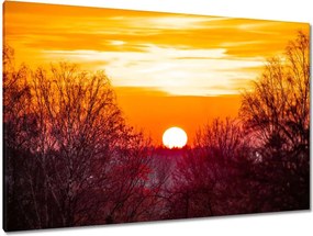 Festmények 120x80 Kilátás Tájkép