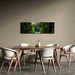 Kép - kilátás a fák között (órával) (90x30 cm)