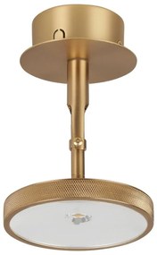 Aranyszínű LED spotlámpa ø 12 cm Asteria Spot – UMAGE