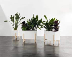 ASHI négyszögletes önöntöző virágcserép, többféle változatban - Hobby Flower szín: tópszín