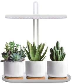 LED dimmelhető asztali lámpa növényneveléshez VERDI LED/12W/230V 4500K