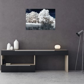 Kép - Hófehér fák (70x50 cm)
