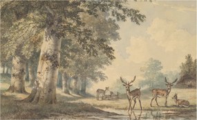 Flizelin tapéta Divatos 3D fali ragasztó Erdei nyugalom 416x254 ragasztó