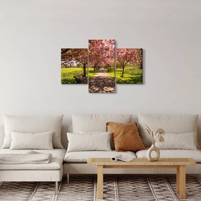 Kép - cseresznye ültetvény (90x60 cm)