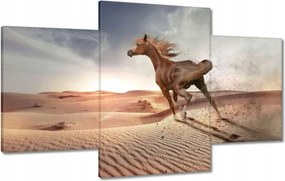 Festmények 100x60 Galoppozó ló
