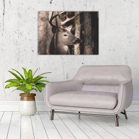 Üveg kép - Szarvas az erdőben (70x50 cm)