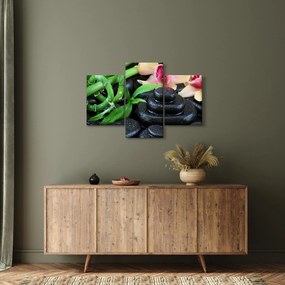 Kép - Kövek és orchideák (90x60 cm)
