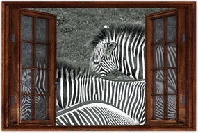 Poszterek 60x40 Zebra csíkok
