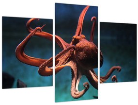 Kép - Octopus (90x60 cm)