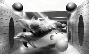 Fotótapéta Alagutak Delfinek Gömbök vinil illúzió 254x184 +ragasztó