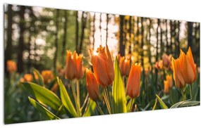 Narancssárga tulipán képe (120x50 cm)
