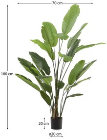 Banánfa műnövény (magasság 210 cm) – Kave Home