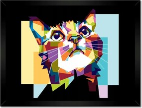 Poszterek keretben 40x30 Absztrakt macska