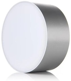 LED2 - LED Mennyezeti lámpa BUTTON LED/17W/230V ezüst