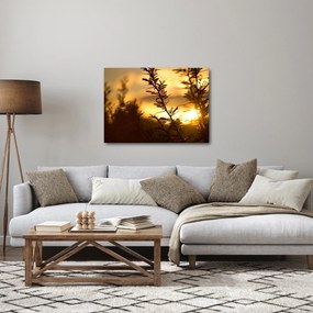 Kép - A nap lenyugszik a fák mögött (70x50 cm)