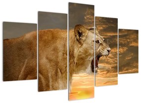 Kép - ordít, oroszlán (150x105cm)