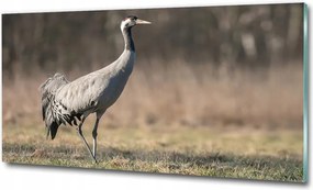 Fotó-kép fotó edzett üveg 125x50