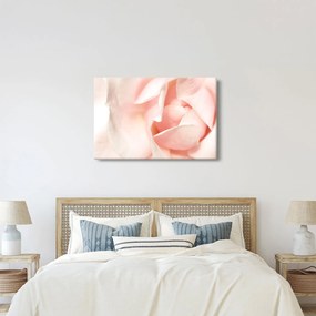 Kép - Rózsák (90x60 cm)