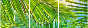 Kép - Pálmalevelek (órával) (90x30 cm)