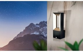 Eglo 98726 - LED Kültéri lámpa érzékelővel RIFORANO 2xLED/5W/230V IP44