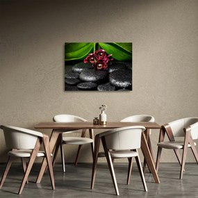 Üveg kép - Lávakövek (70x50 cm)