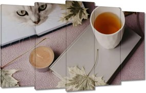 Vászonkép 100x60 Cica Cicák